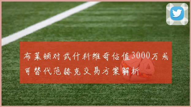 布莱顿对武什科维奇估值3000万或可替代范赫克交易方案解析